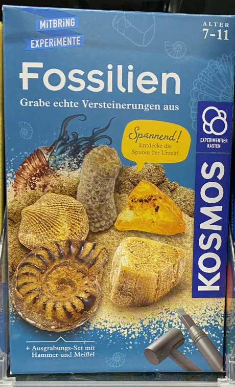 KOSMOS Fossilien
