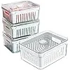 Kit 4 Organizadores Geladeira Armário Cozinha 2,2 Litros Alimentos Vegetais | Amazon.com.br