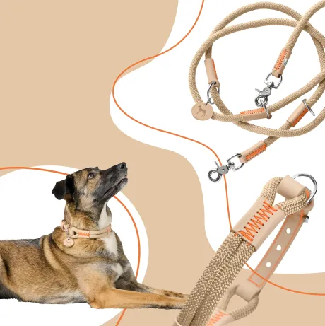 MALIA Set Halsband & Leine | beige | Wir lieben HUNTER