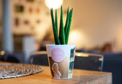 Blumentopf mit eigenem Foto gestalten und drucken